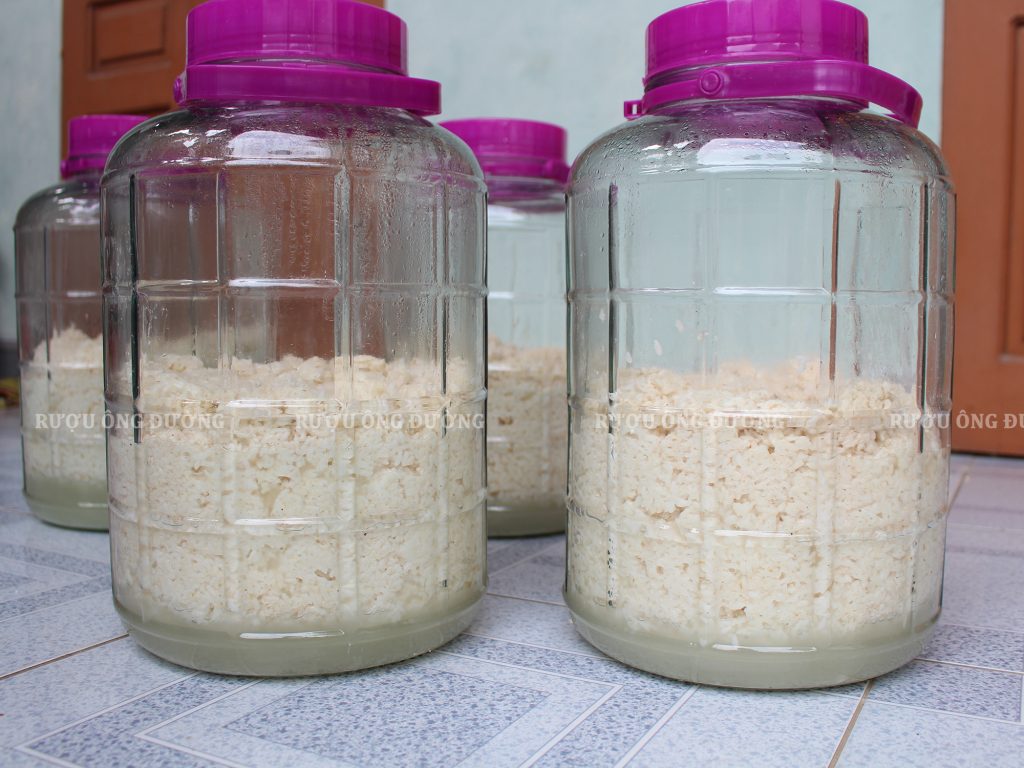 Cách làm rượu nếp sữa, Hướng dẫn quy trình ủ rượu gạo truyền thống